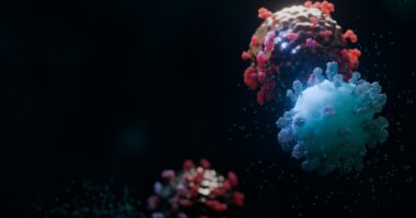 A high-resolution 3D scientific illustration depicts a CAR-T cell recognizing and attacking a cancer cell.